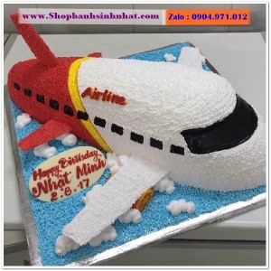 Bánh Sinh Nhật Máy Bay - MA19